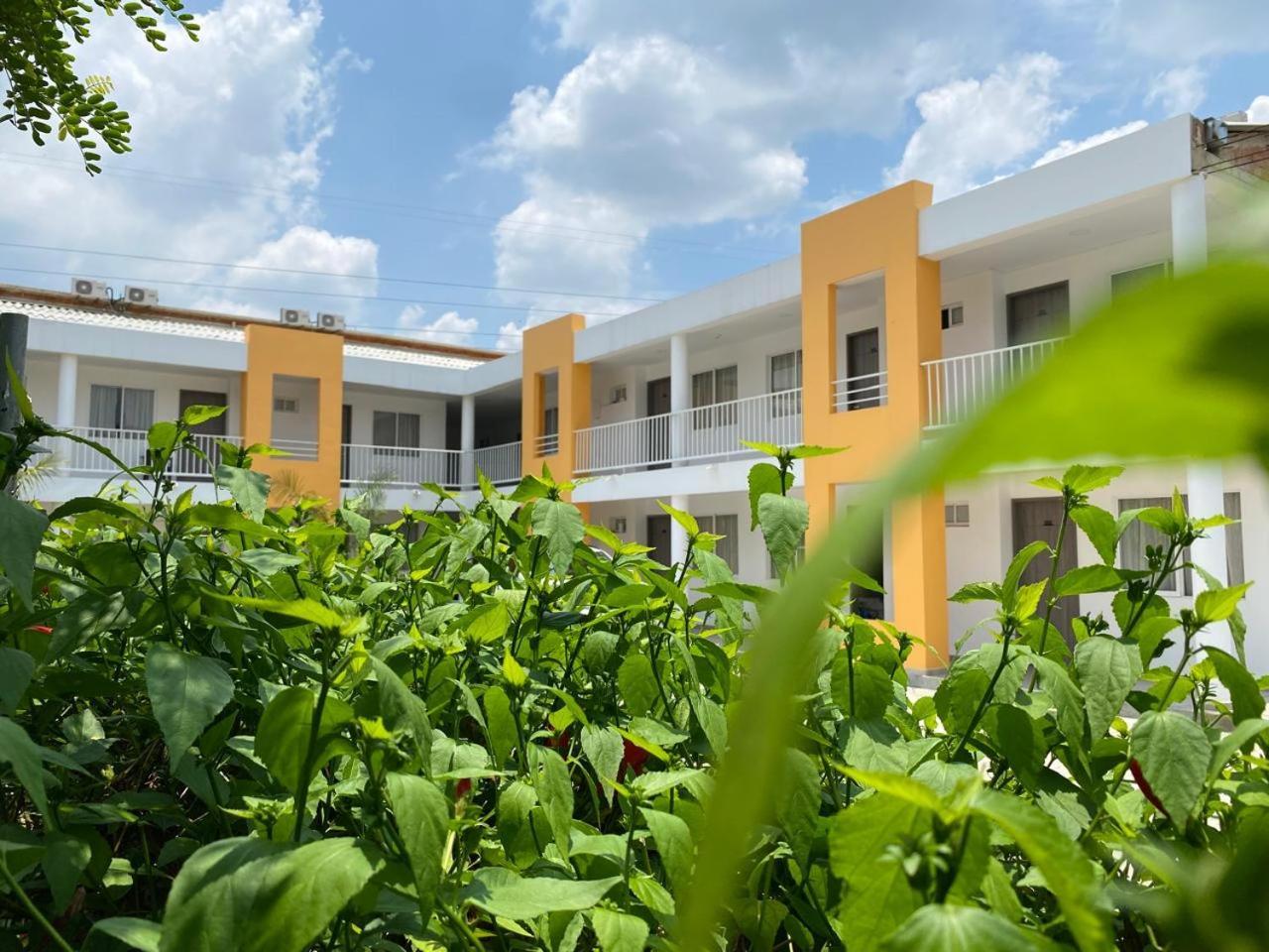 Hotel Villa Bosco ปัลมีรา ภายนอก รูปภาพ