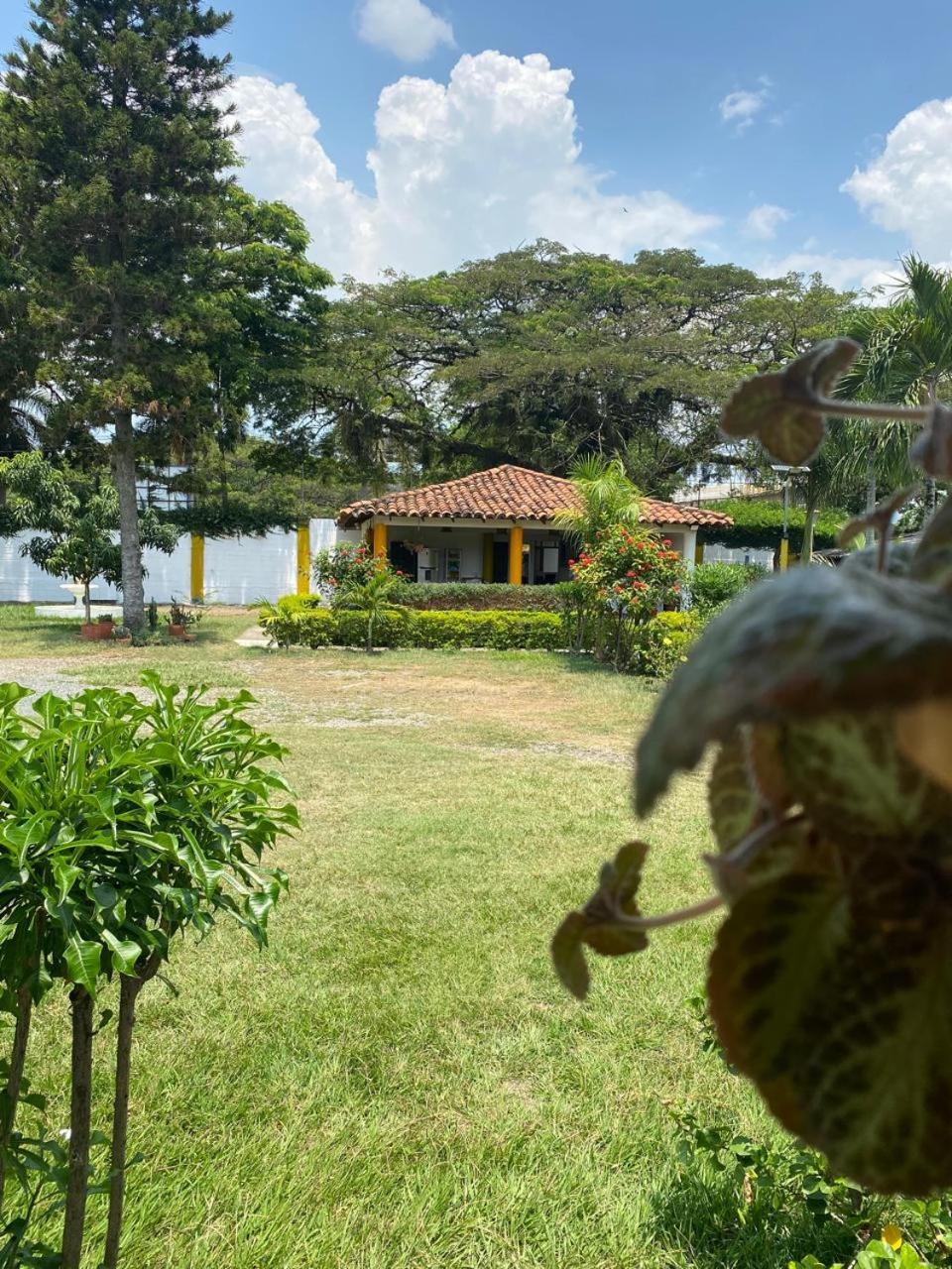 Hotel Villa Bosco ปัลมีรา ภายนอก รูปภาพ