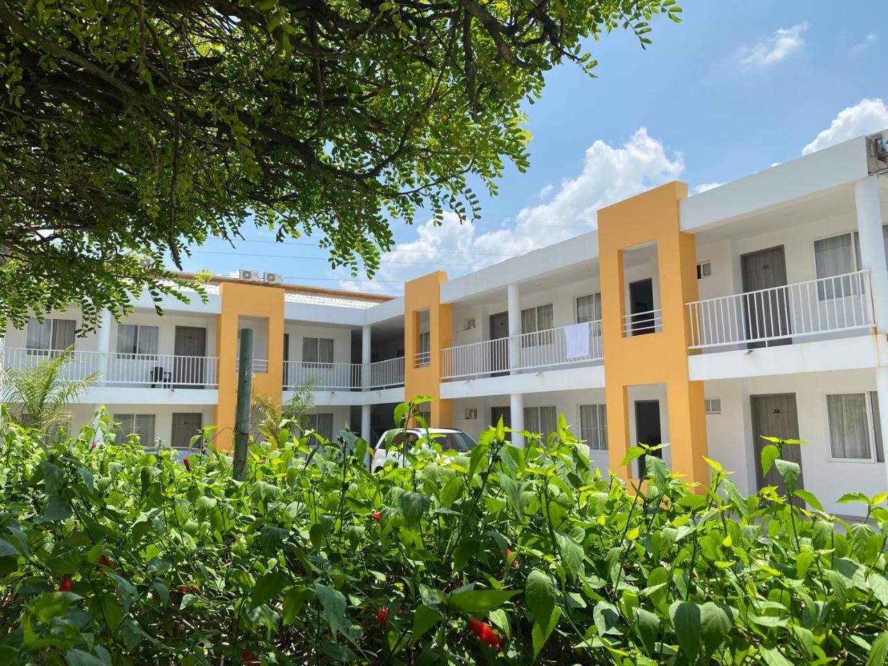 Hotel Villa Bosco ปัลมีรา ภายนอก รูปภาพ